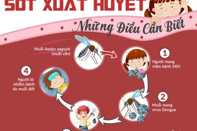 PHÒNG CHỐNG BỆNH SỐT XUẤT HUYẾT